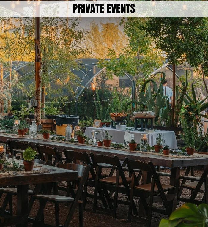 Dig It Gardens Image