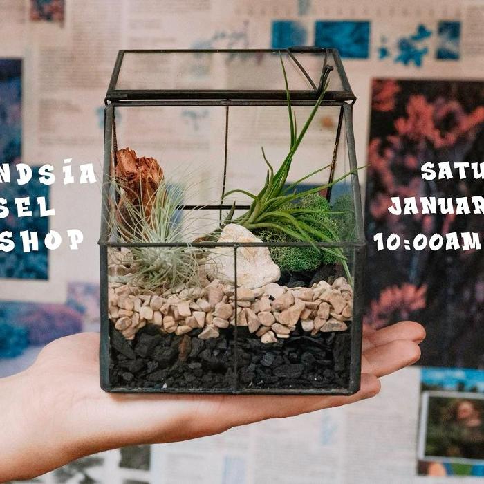 Dig It Gardens Image