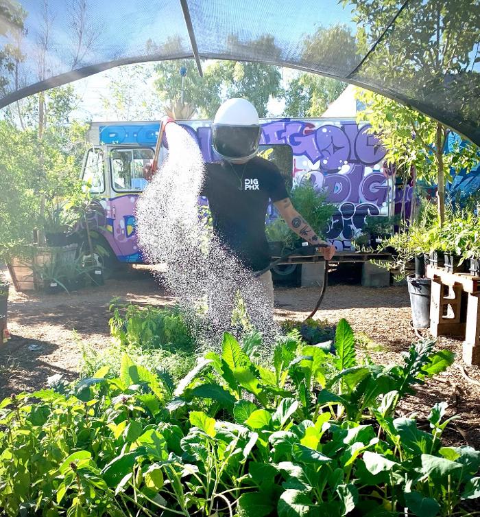 Dig It Gardens Image