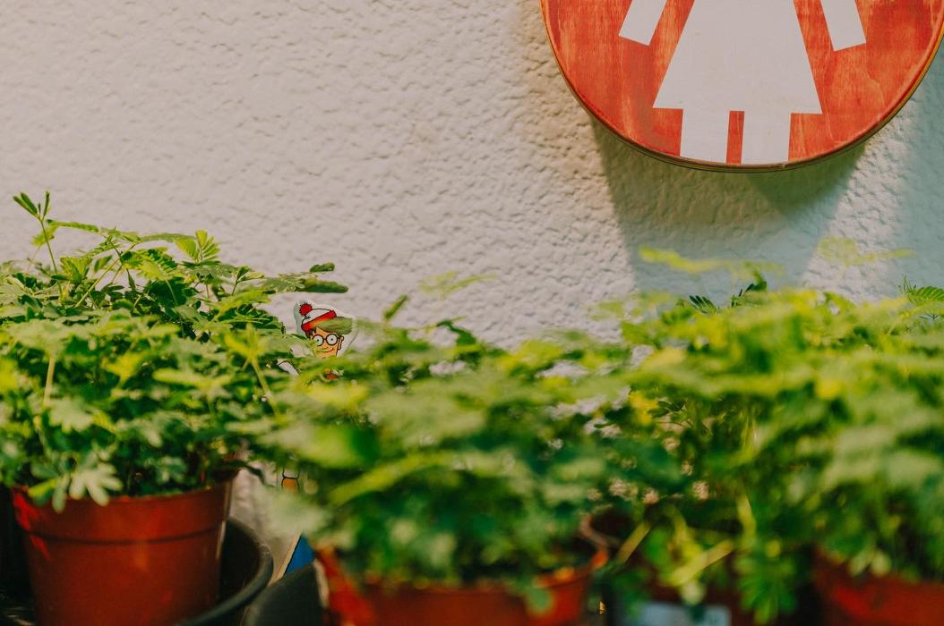 Dig It Gardens Image