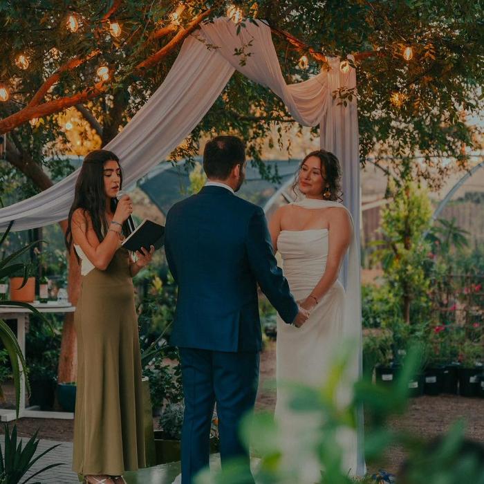 Dig It Gardens Image