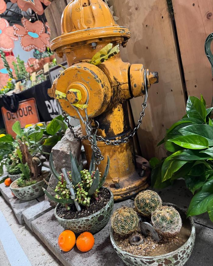 Dig It Gardens Image