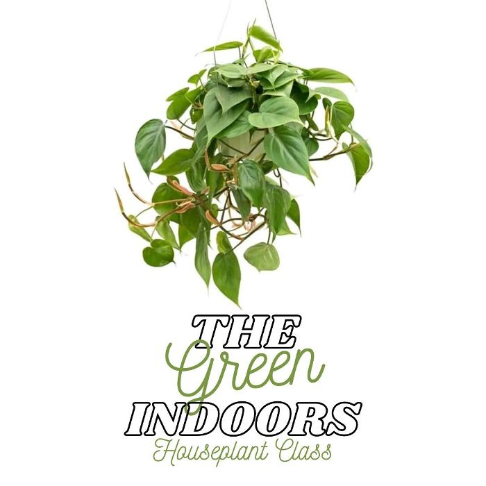 Dig It Gardens Image