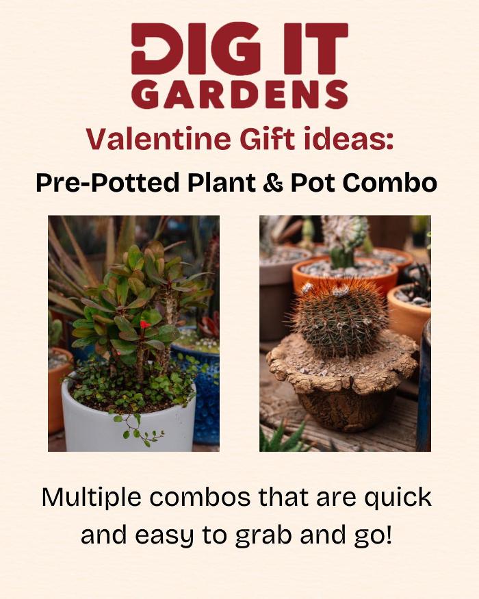 Dig It Gardens Image