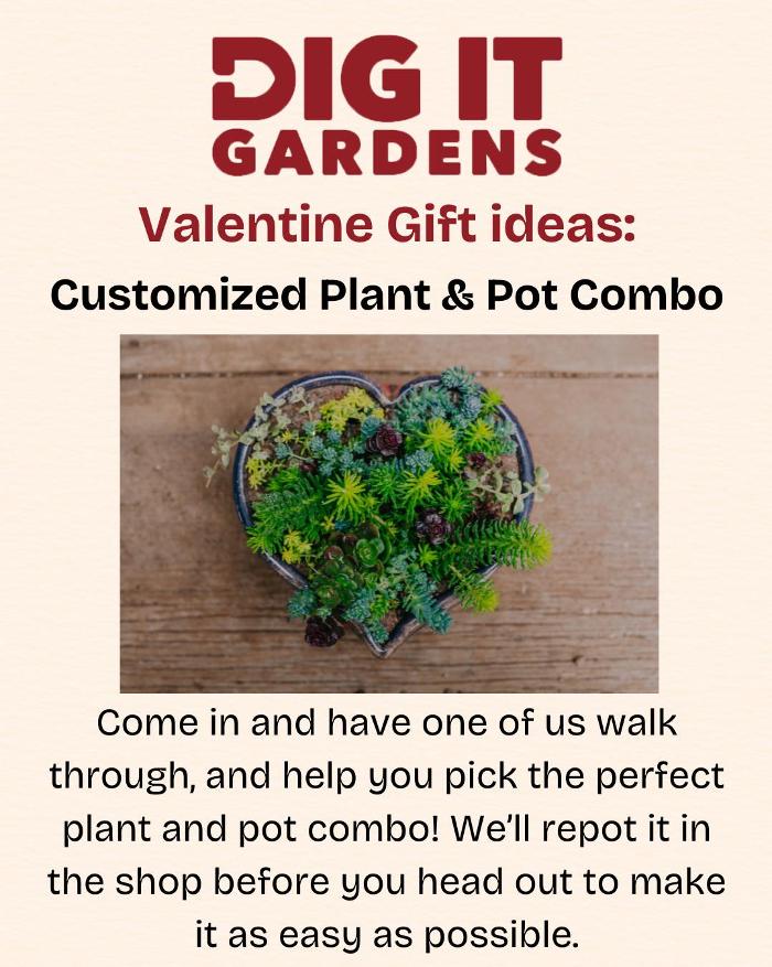 Dig It Gardens Image