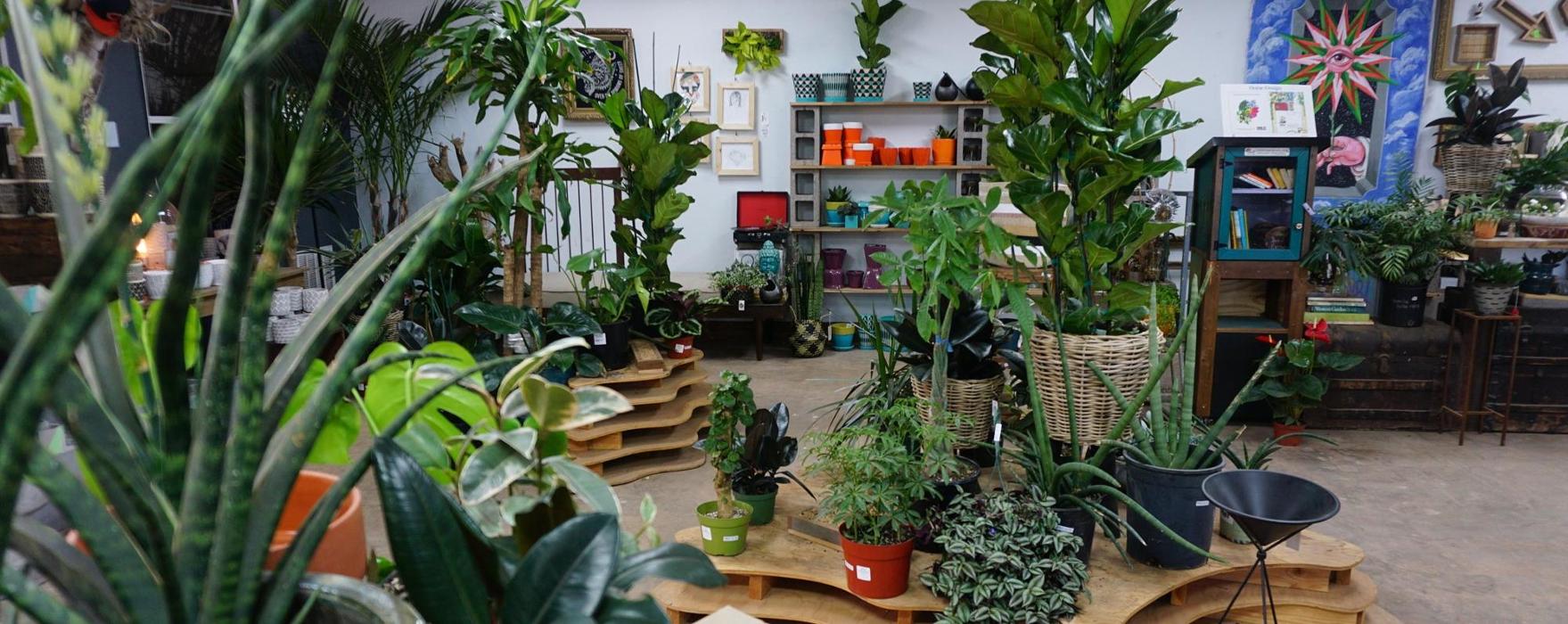 Dig It Gardens Image