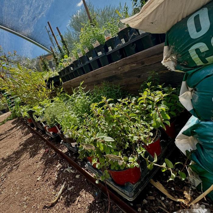 Dig It Gardens Image