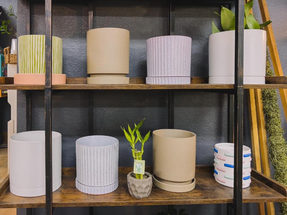 Dig It Gardens Image