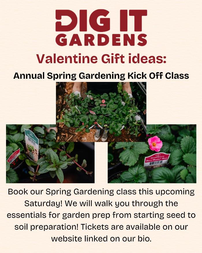 Dig It Gardens Image