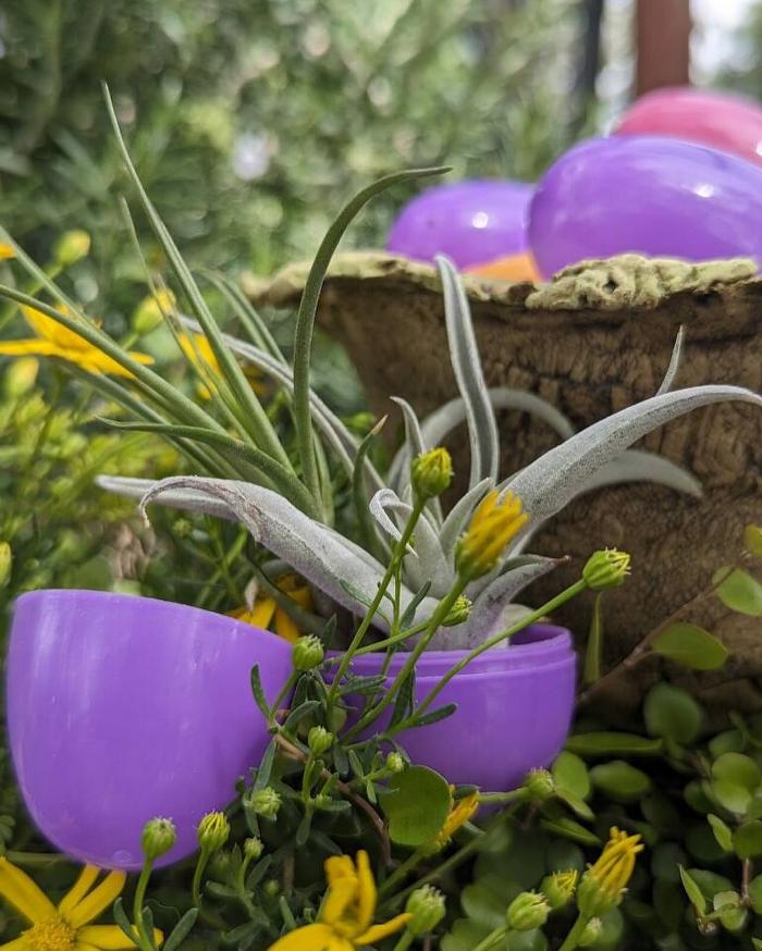 Dig It Gardens Image