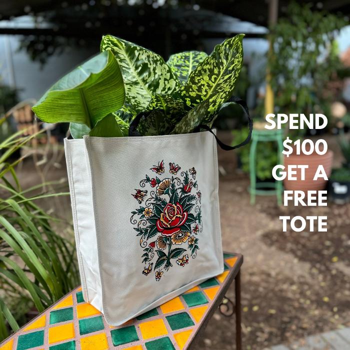 Dig It Gardens Image