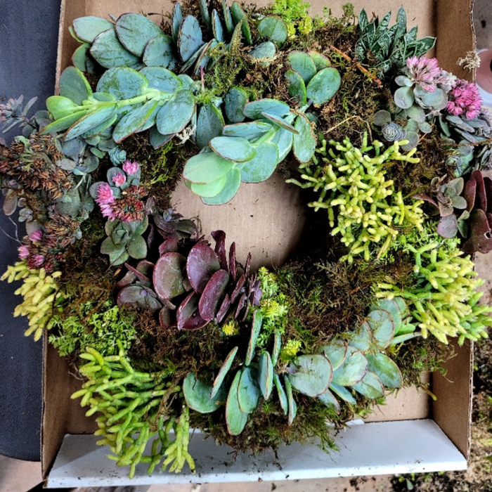 Dig It Gardens Image