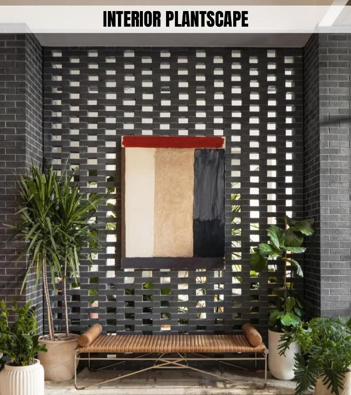 Dig It Gardens Image