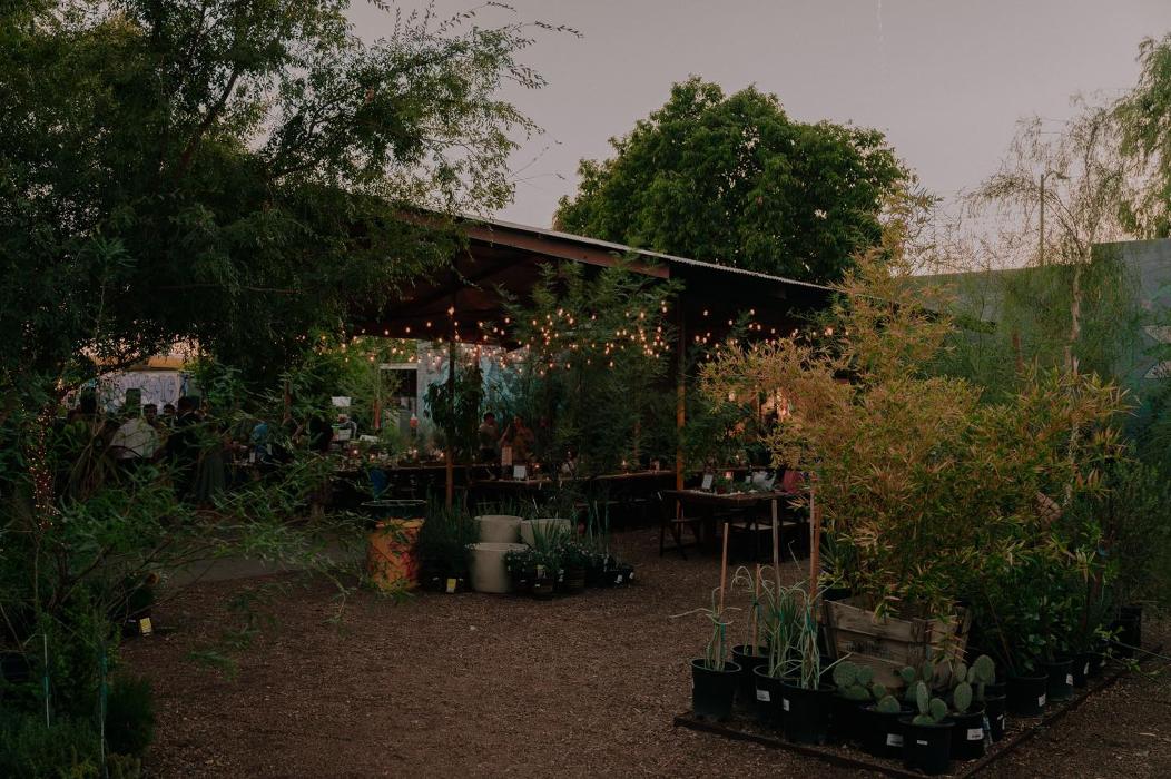 Dig It Gardens Image