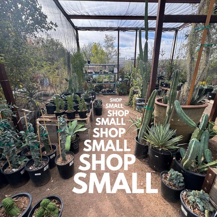 Dig It Gardens Image