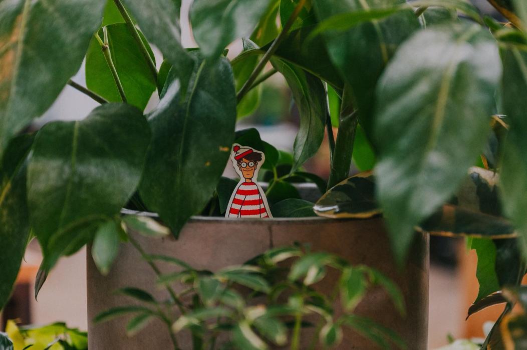 Dig It Gardens Image