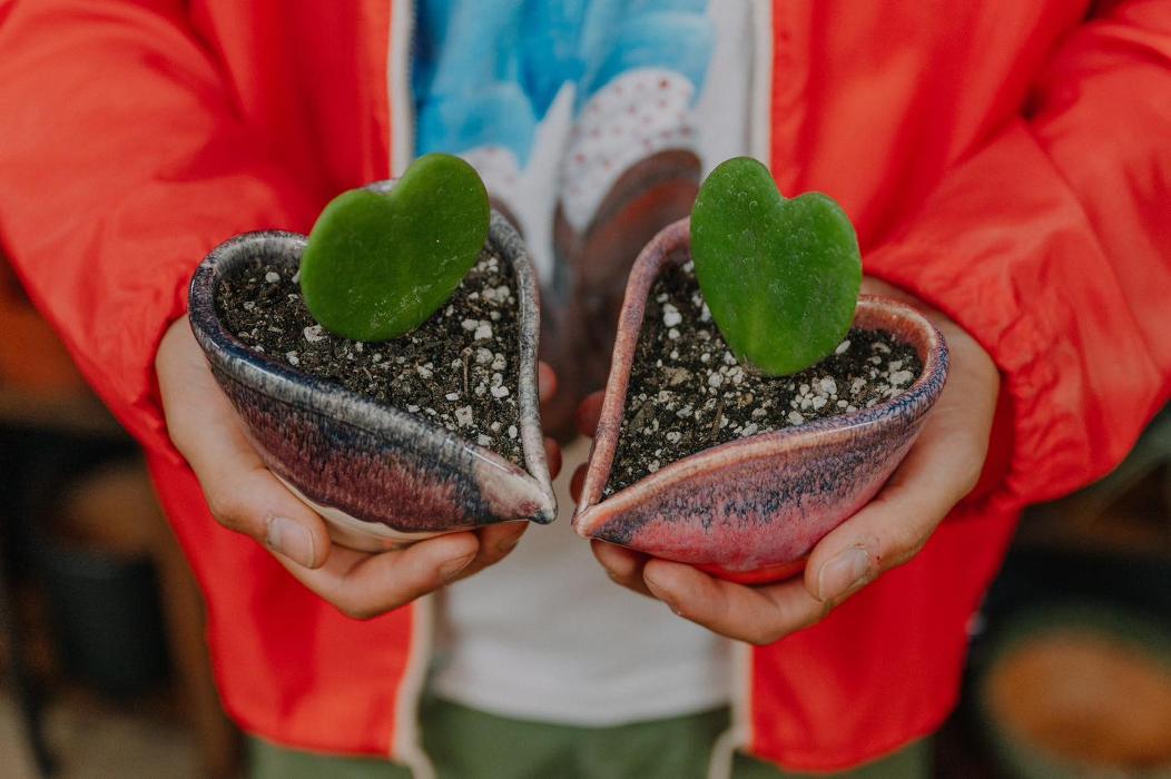 Dig It Gardens Image