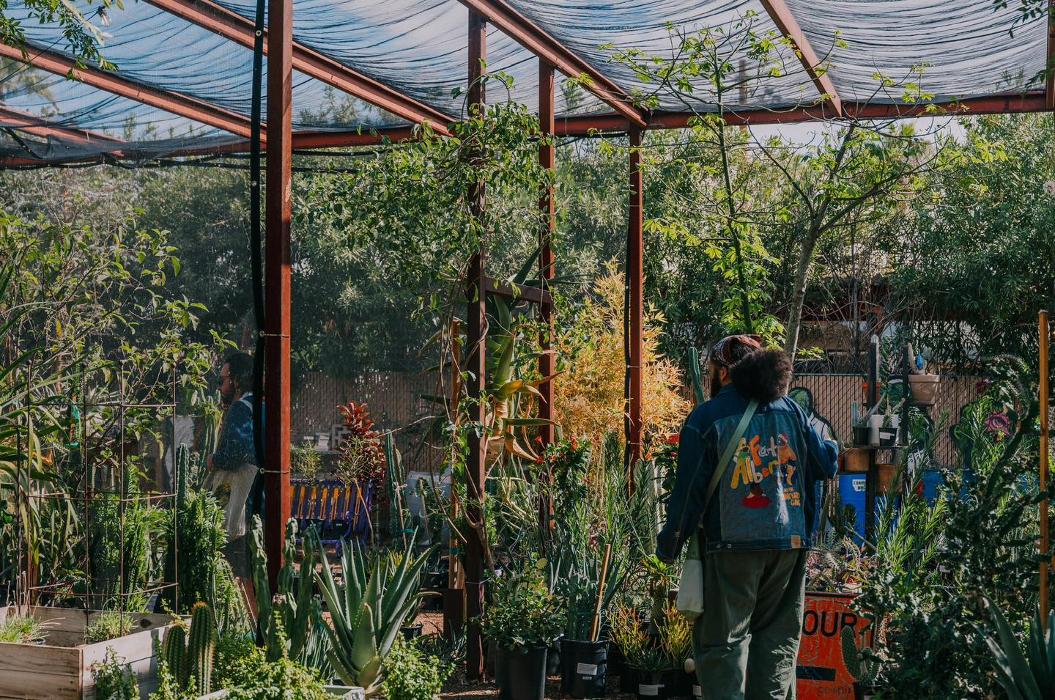 Dig It Gardens Image