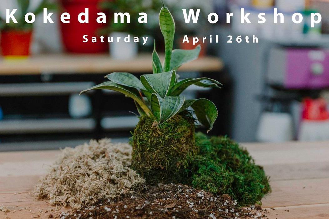 Dig It Gardens Image