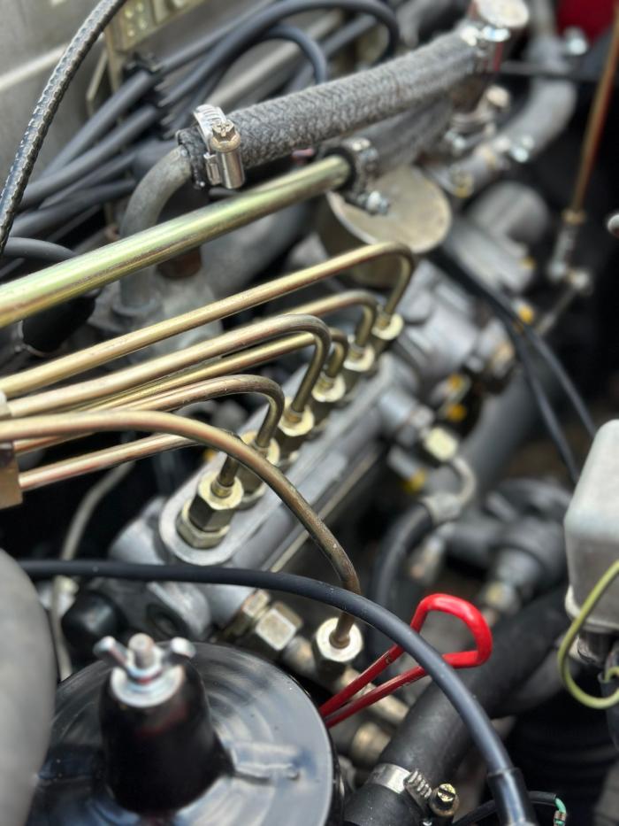 European Starr - Mercedes-Benz Specialists - Sarasota, FL