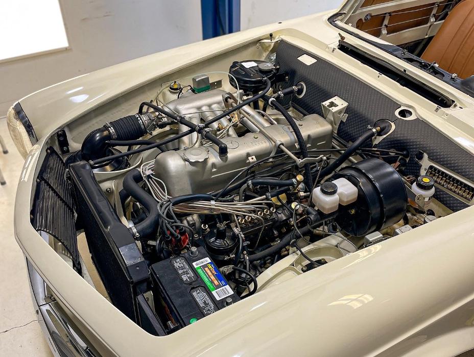 European Starr - Mercedes-Benz Specialists - Sarasota, FL