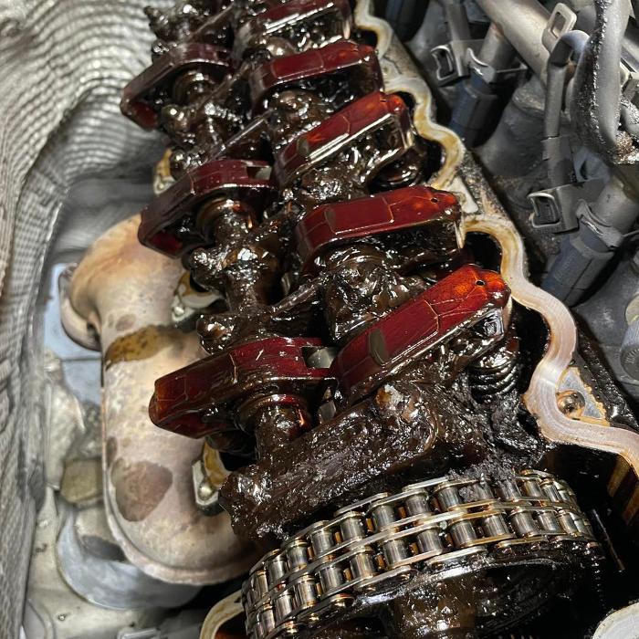 European Starr - Mercedes-Benz Specialists - Sarasota, FL