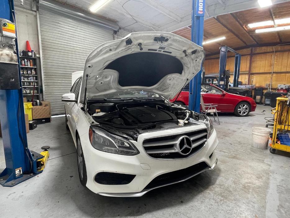 European Starr - Mercedes-Benz Specialists - Sarasota, FL