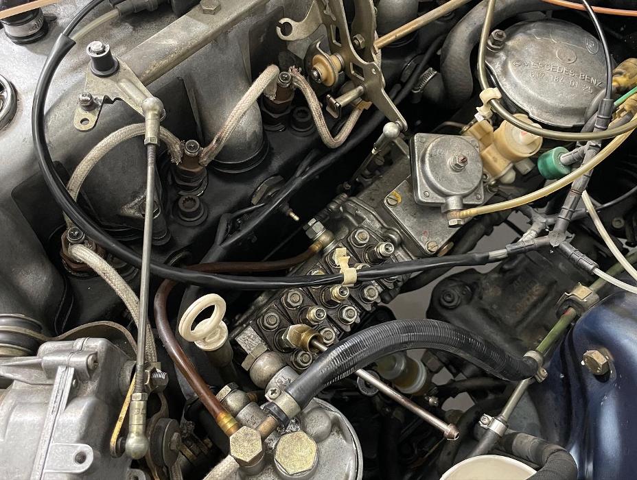 European Starr - Mercedes-Benz Specialists - Sarasota, FL