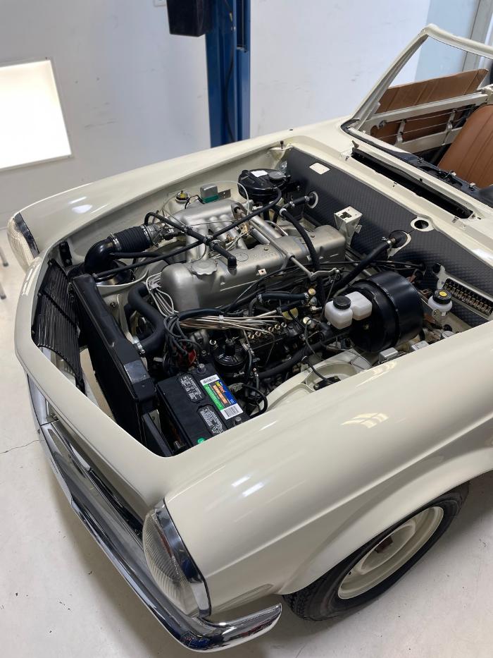 European Starr - Mercedes-Benz Specialists - Sarasota, FL