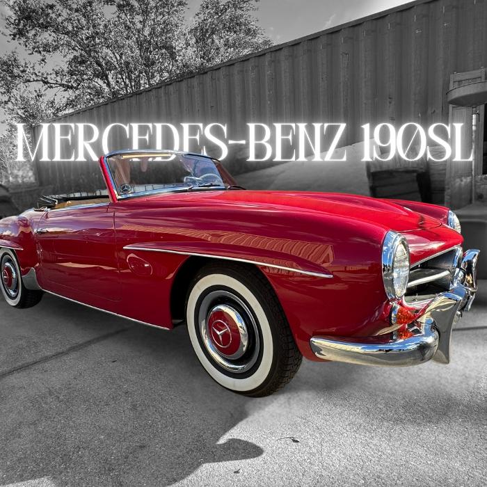 European Starr - Mercedes-Benz Specialists - Sarasota, FL