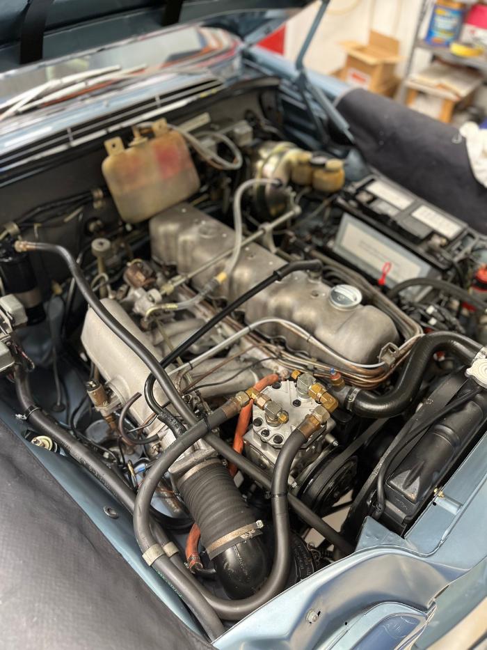 European Starr - Mercedes-Benz Specialists - Sarasota, FL