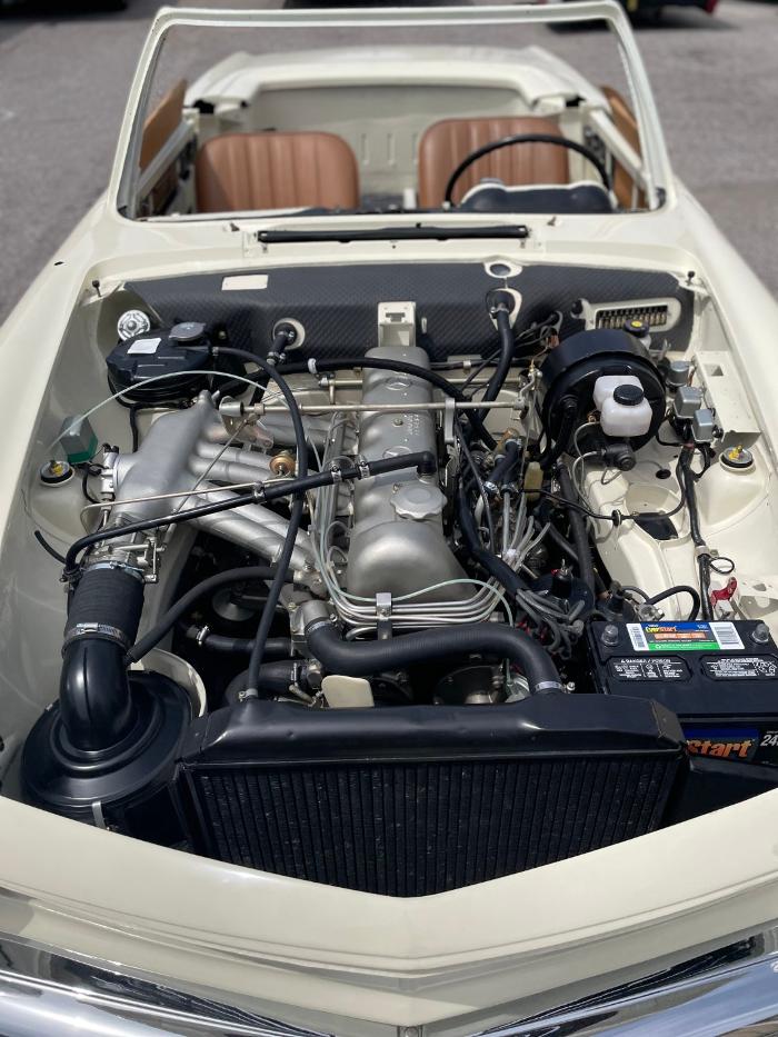 European Starr - Mercedes-Benz Specialists - Sarasota, FL