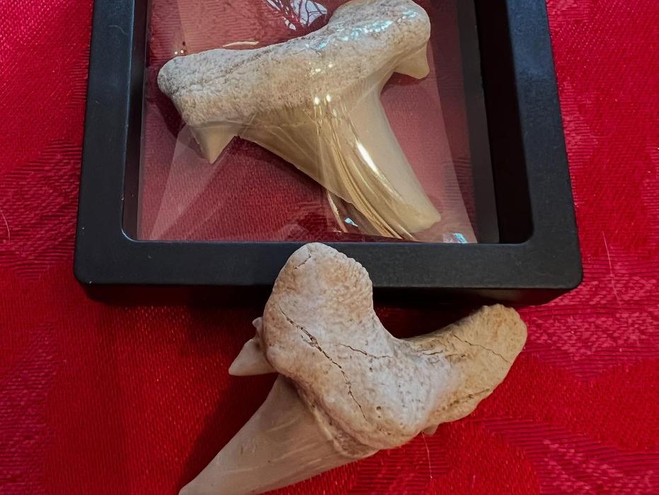 Everything Just Rocks Image