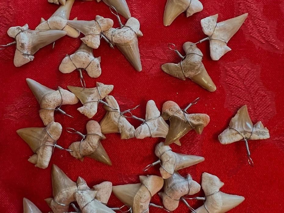 Everything Just Rocks Image