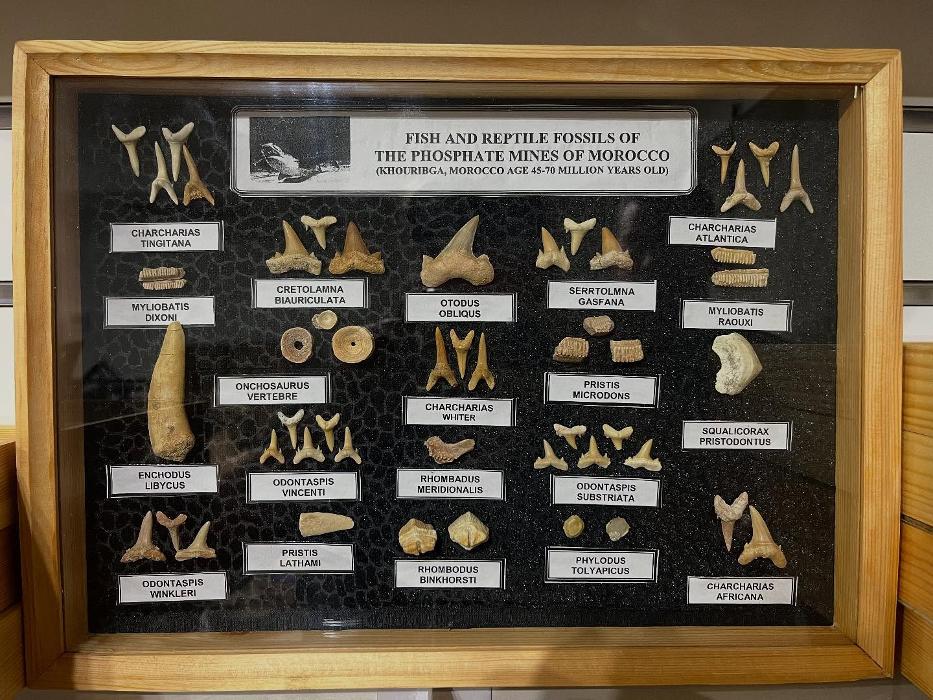 Everything Just Rocks Image