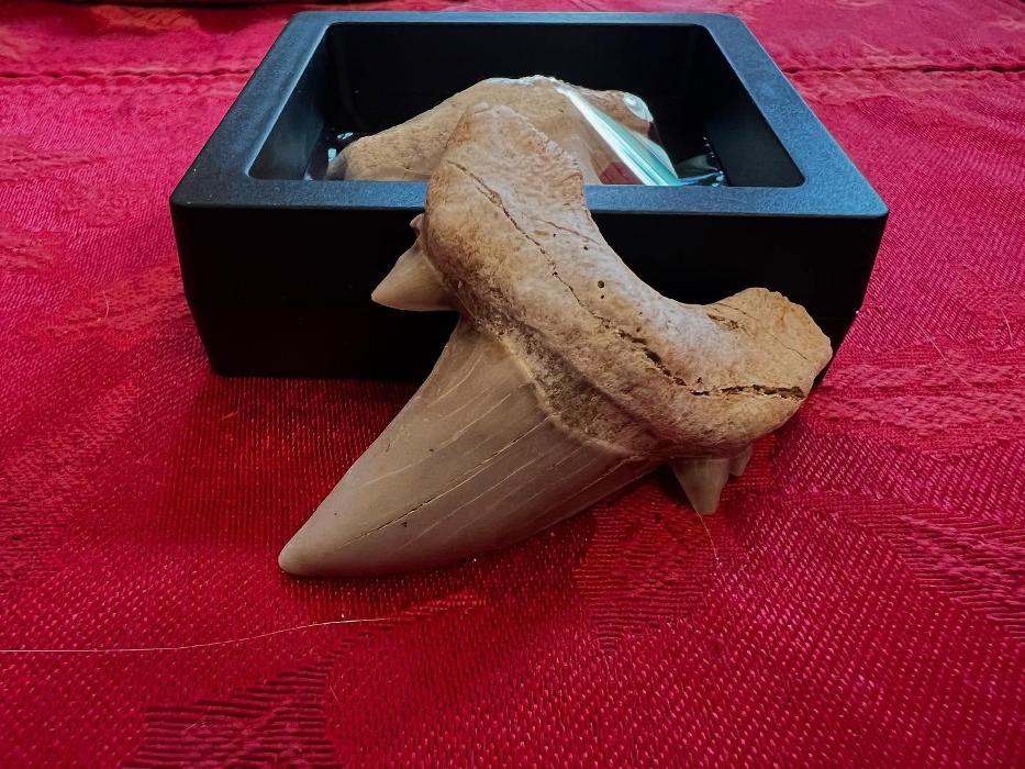 Everything Just Rocks Image