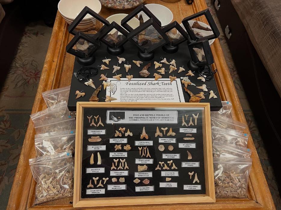 Everything Just Rocks Image