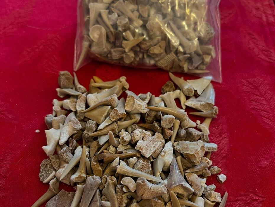 Everything Just Rocks Image