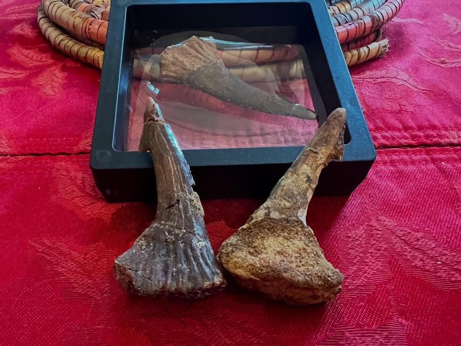 Everything Just Rocks Image