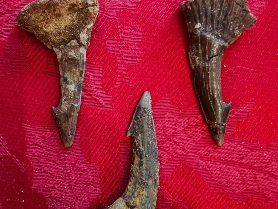 Everything Just Rocks Image