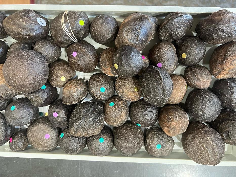 Everything Just Rocks Image