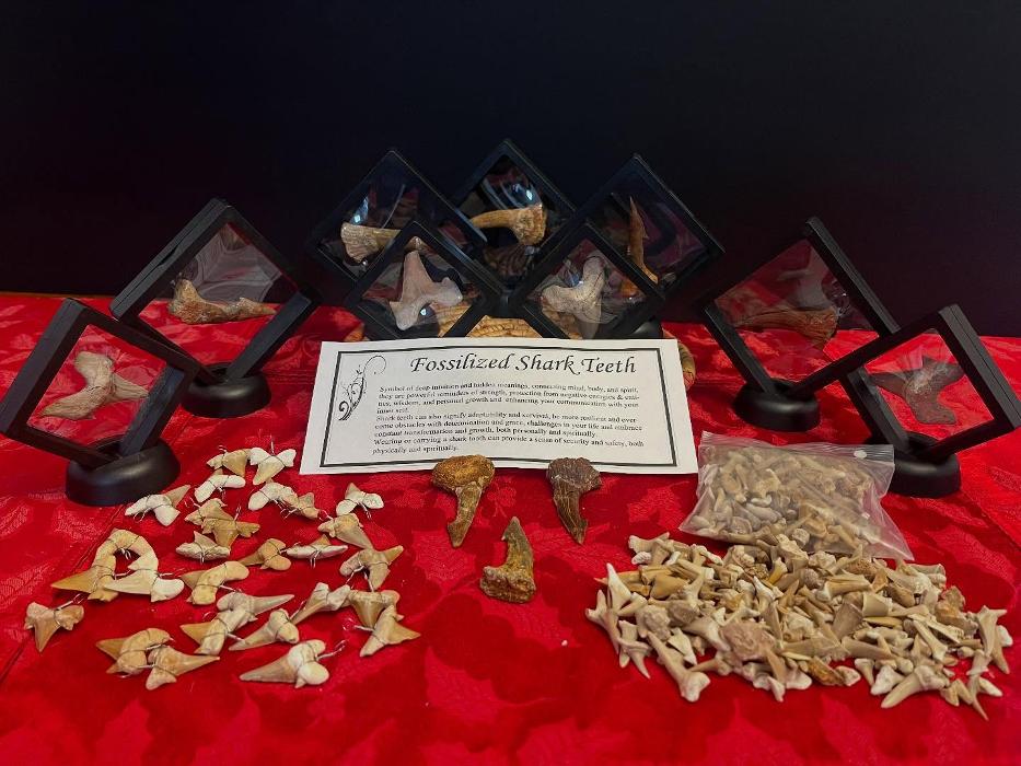 Everything Just Rocks Image