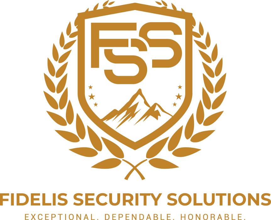 Fidelis Security Solutions Image