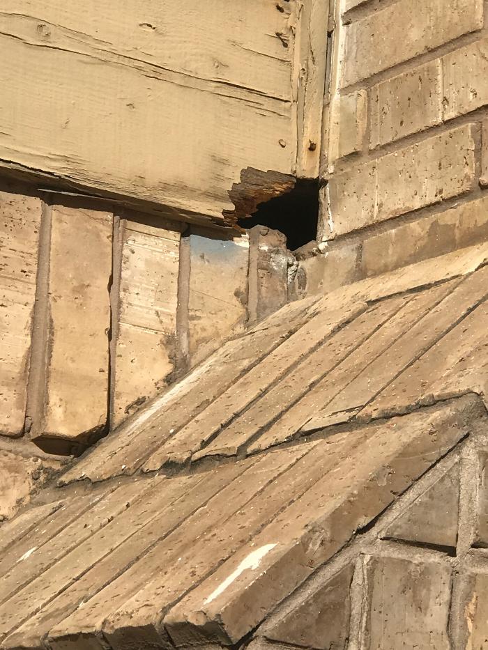 Guaranteed Rodent Removal Services - Boyd, TX