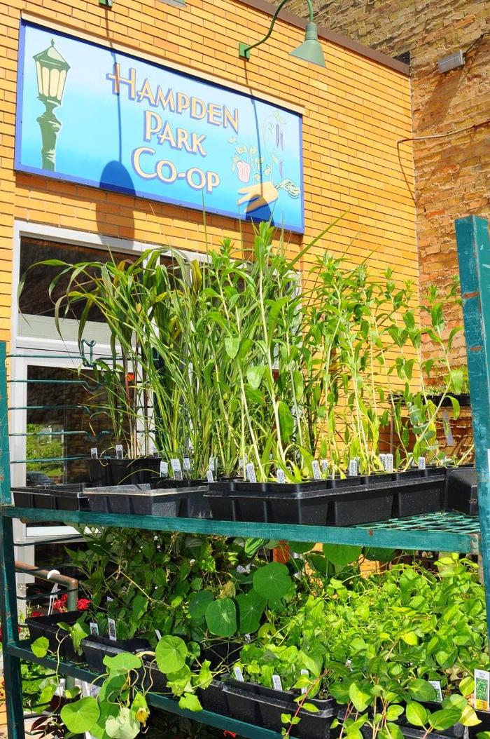 Hampden Park Co-Op - Saint Paul, MN