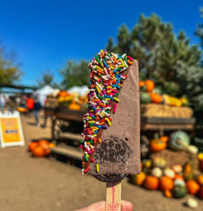 HipPOPs handcrafted gelato bars