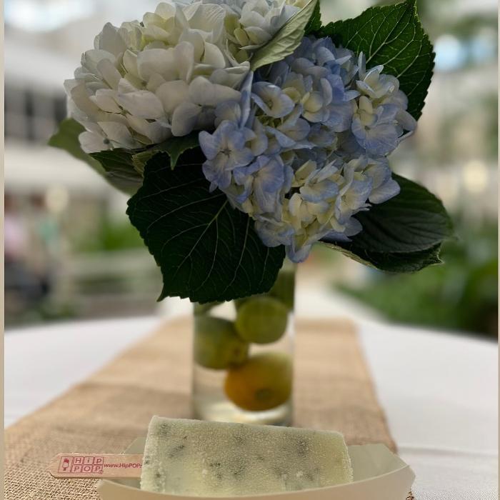 HipPOPs handcrafted gelato bars - Dania, FL