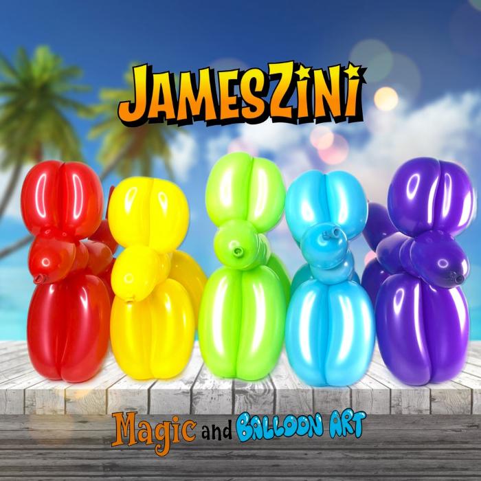 JamesZini - Magician, Balloon Twisting, & Entertainer Image