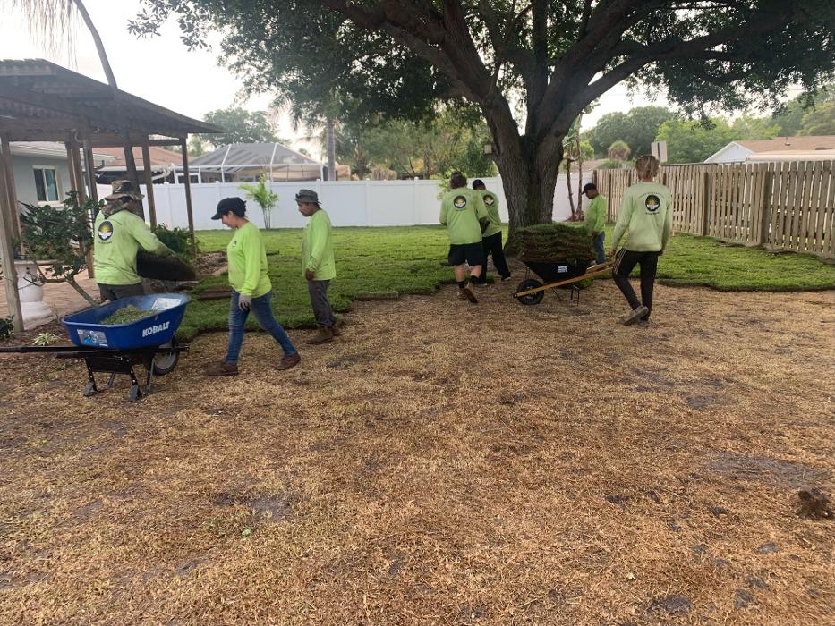 Loyalty Lawn & Landscape - Venice, FL