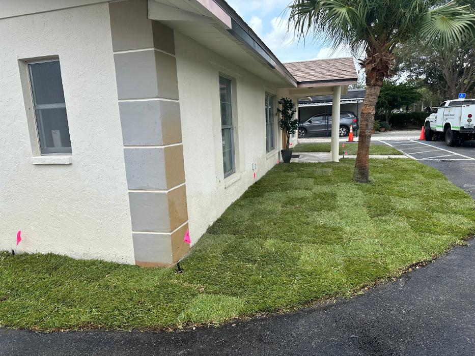 Loyalty Lawn & Landscape - Venice, FL